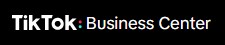 TikTok for Business